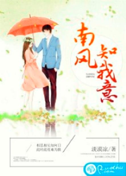 南风系列小说讲的什么