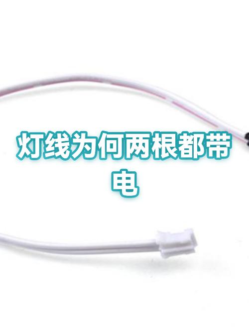 接灯的两根线都有电