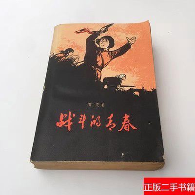 1960年版战斗的青春