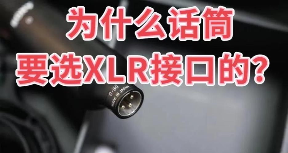 话筒输入口可以输入音频吗