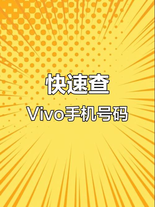 查询vivo手机id的方法