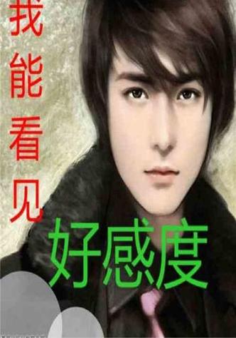 我能看见好感度