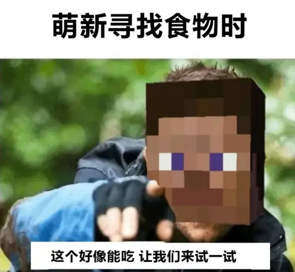 我的世界mc情侣头像