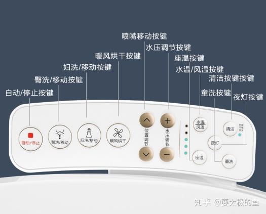 智能马桶盖和智能马桶区别