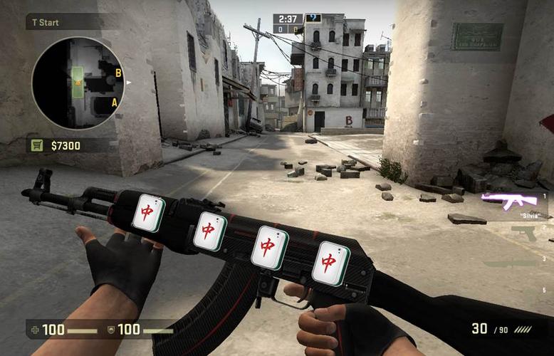 csgo好看的印花截图3