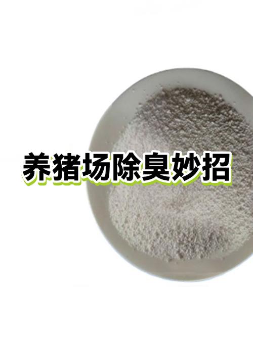 养猪场除臭气用什么方法最好