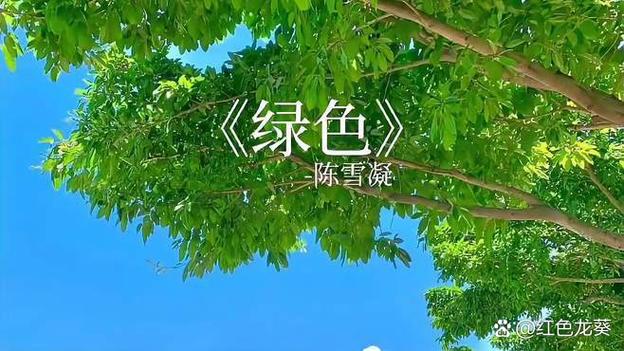 我想听绿色这首歌