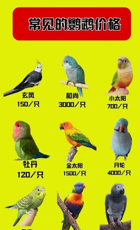 中国有什么鹦鹉