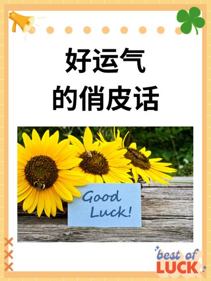 今天运气真好读后感