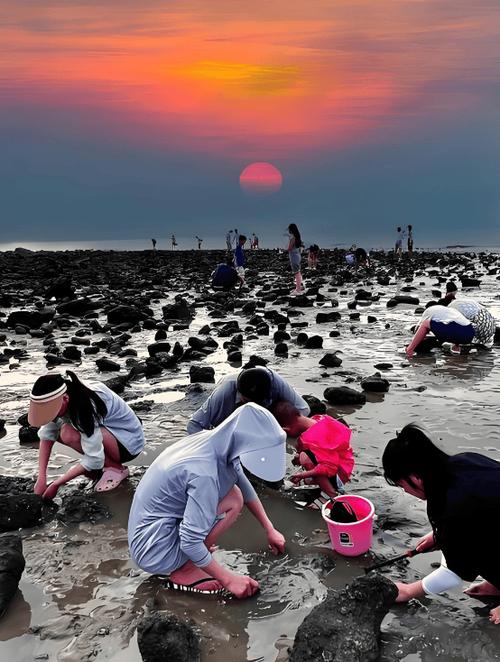 真实赶海视频