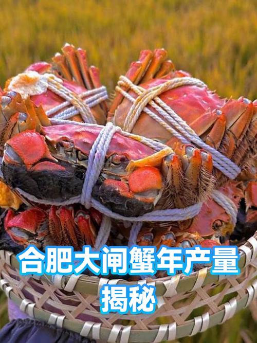 1亩螃蟹一年纯收入
