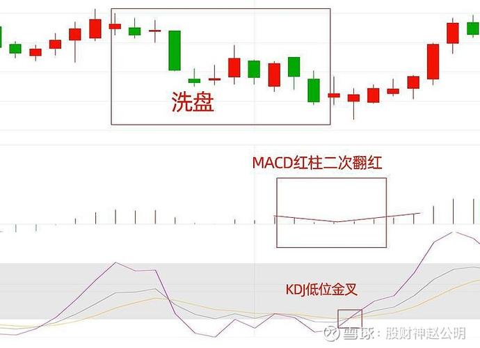 怎样看股票财务指标