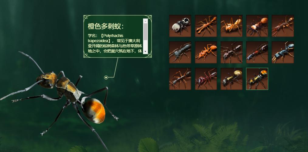 小小蚁国最强阵容推荐