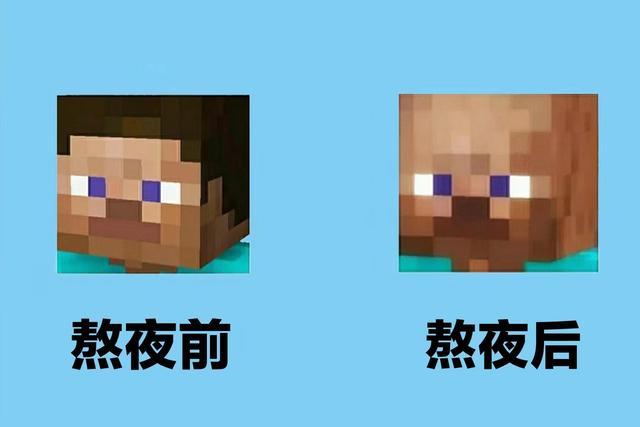 我的世界流浪商人是村民吗