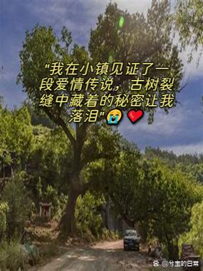我站在小路上悠哉悠哉