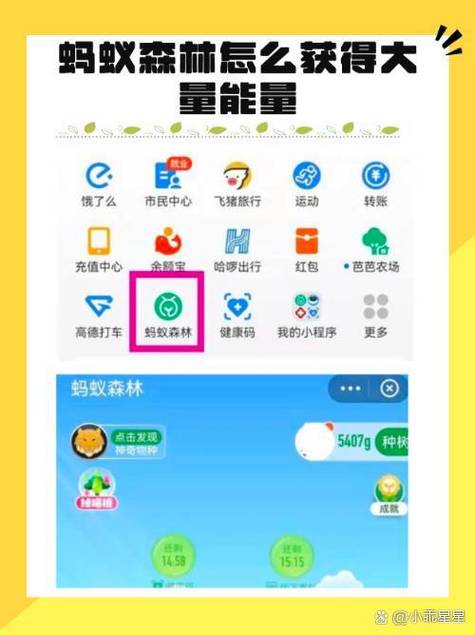 支付宝怎么收取能量截图1