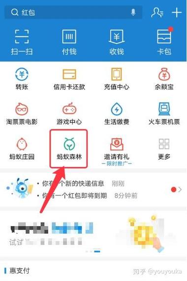 支付宝怎么收取能量截图2