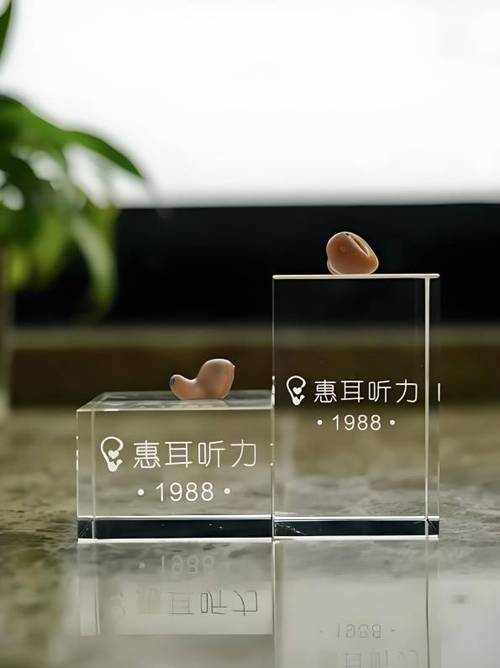 惠耳助听器这么贵