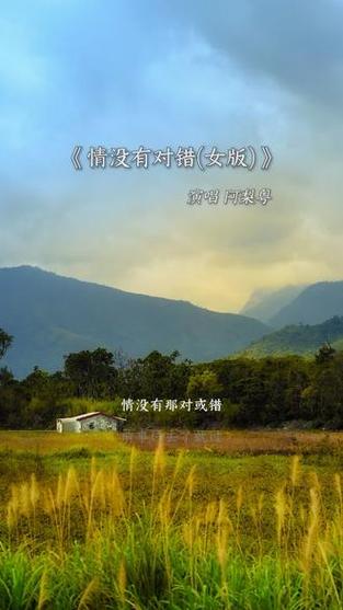 《情没有对或错》铃声