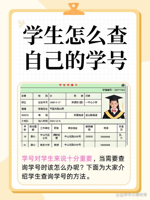 小学生注册账号