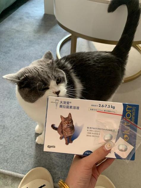 猫绦虫怎么样算驱干净