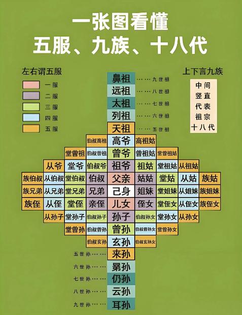 几辈人算出五服表