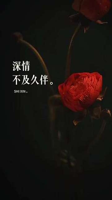 情感共鸣文案