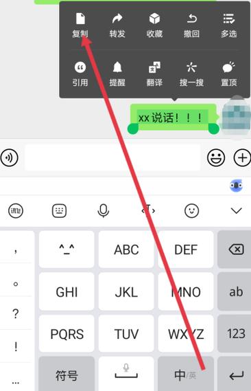 信息怎么复制粘贴发给对方