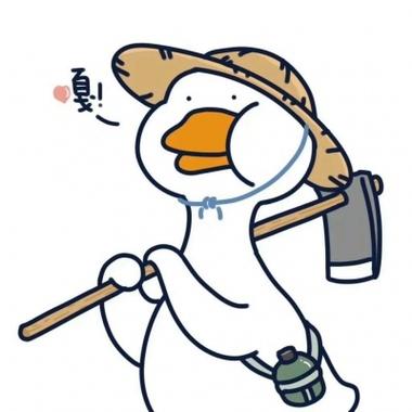 qq小鸭子头像