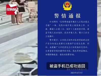 捡手机变偷手机立案