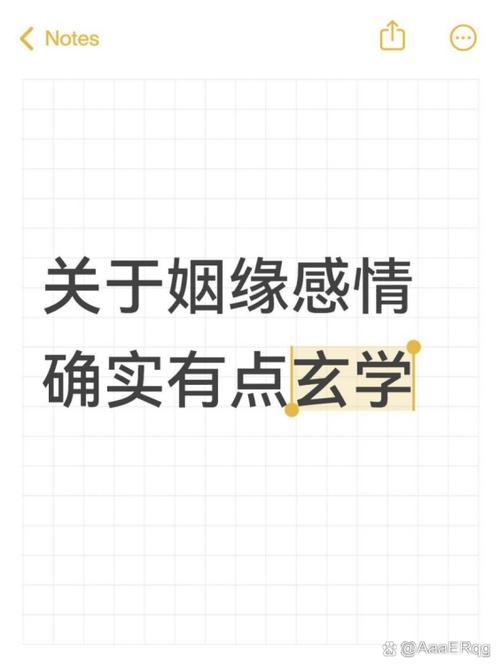 免费测姻缘不付费,真正的正缘
