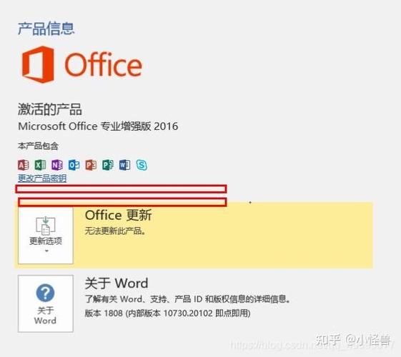Microsoft Office2019截图2