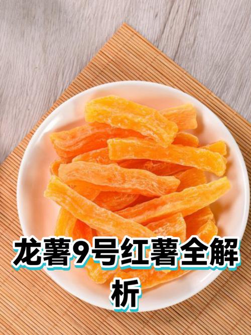 龙薯九号红薯简介