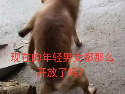叼嗨视频直播大全免费截图3
