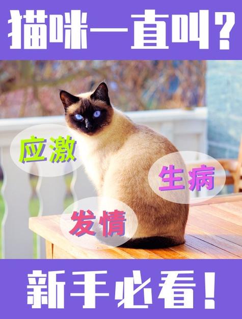 猫叫的原因是什么