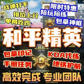 和平精英代打平台