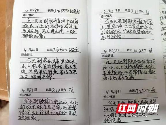 2026年护林员巡山日记截图2