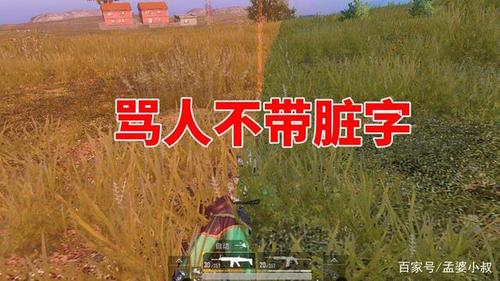 和平精英骂人图片