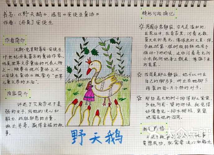 三年级阅读短文天鹅