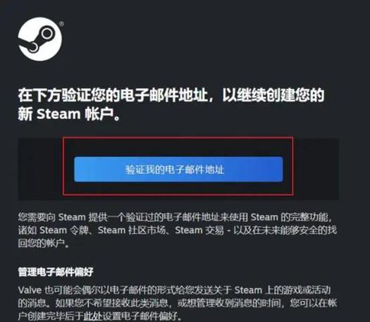 steam电子发票