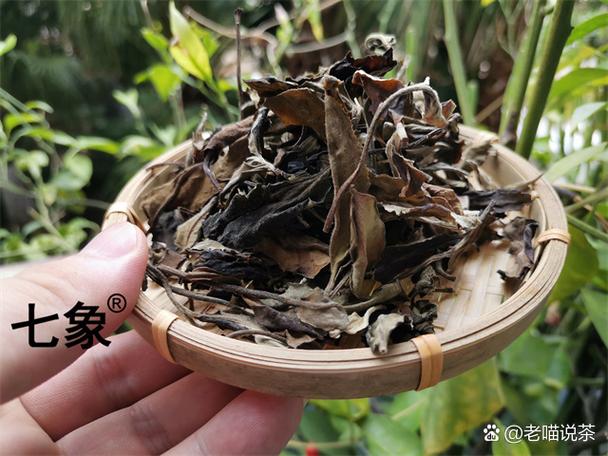 茶的来历简介