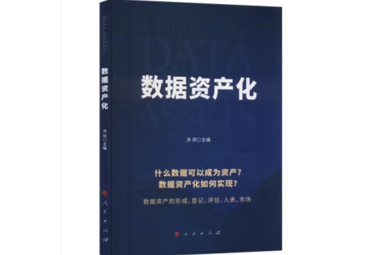 数据资产化是什么意思