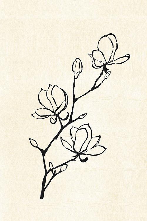 木兰花漫 木兰花漫