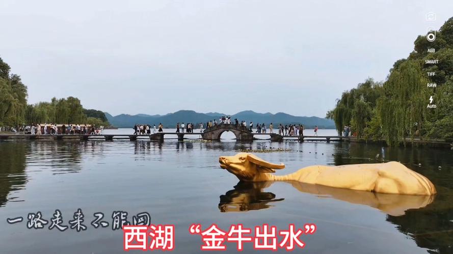 杭州西湖金牛出水
