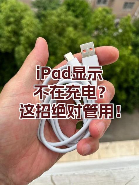 ipad在充电但充不进
