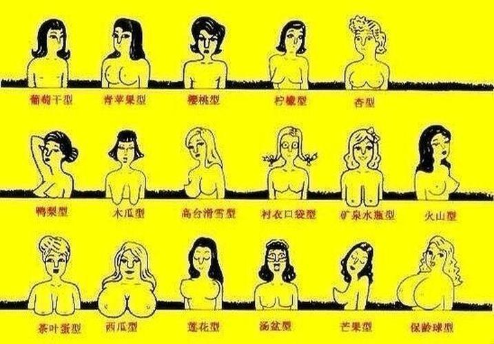 好看的胸型