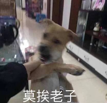 莫挨老子安卓版