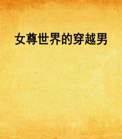 女尊世界的穿越男