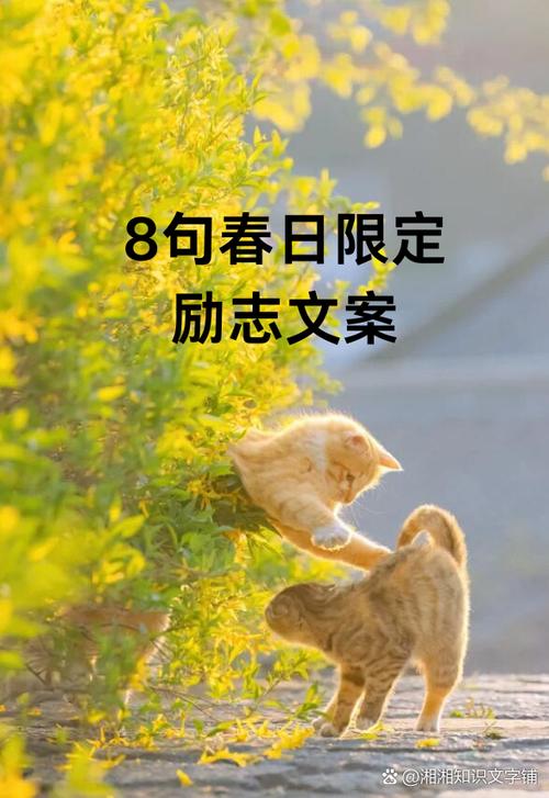 春日,我来到你的坟前