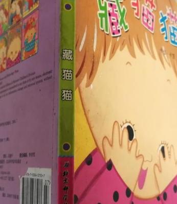 藏猫猫专家是谁